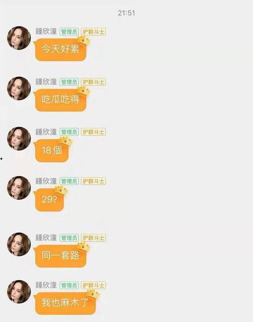 娱乐圈吃瓜文件,揭秘“吃瓜文件”背后的真相