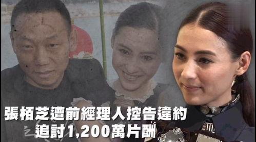 娱乐吃瓜是真是假视频大全